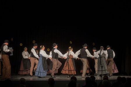 Maroltovo srečanje znova združilo koroške folklorne skupine (11)